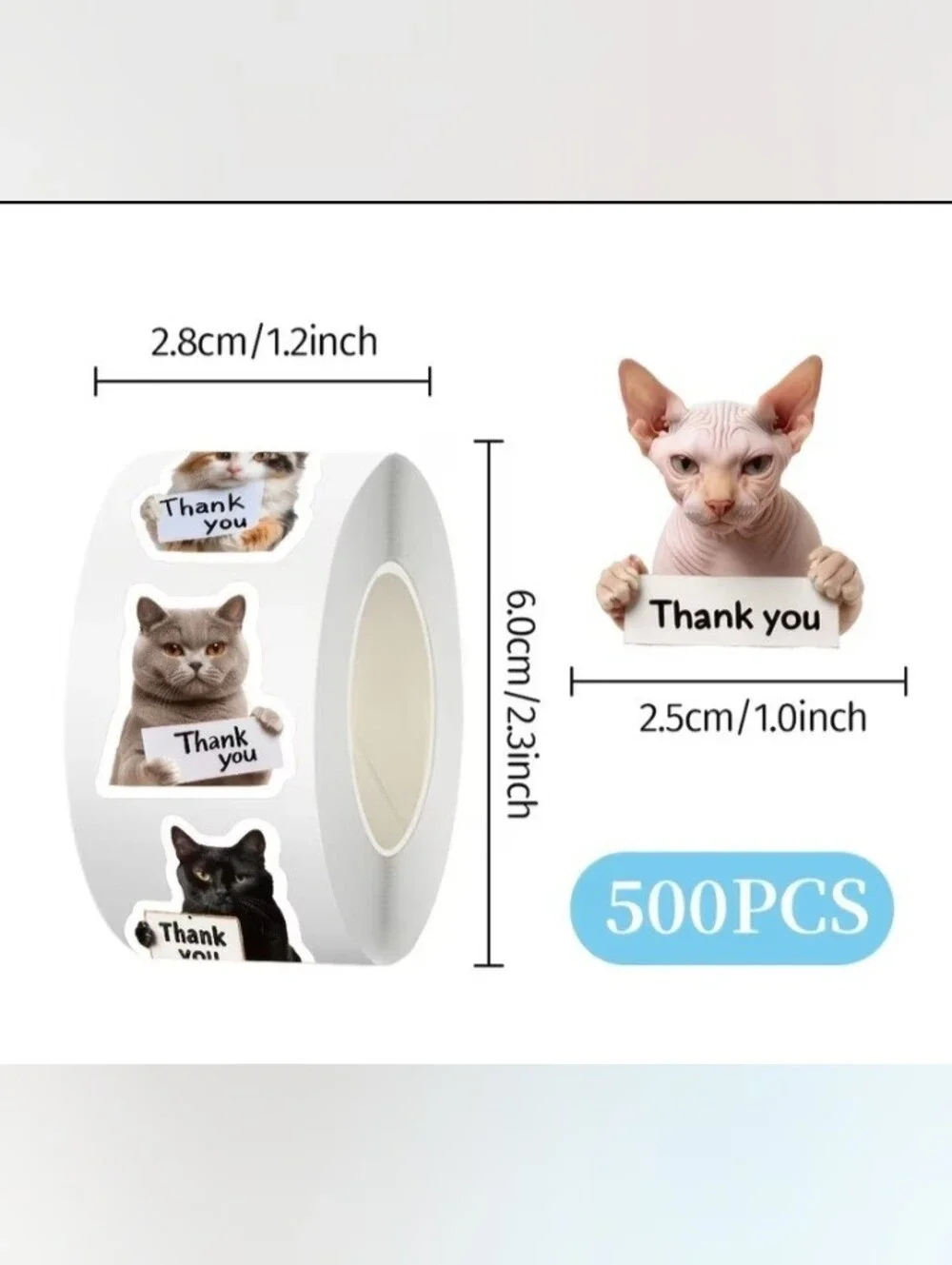 N/A cute cat
